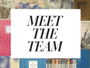 Graphic displaying "Meet the Team" text in a large font.